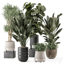 Indoor Plants in rusty Concrete Pot Set 1291 