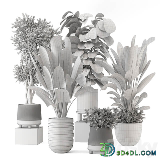 Indoor Plants in rusty Concrete Pot Set 1291