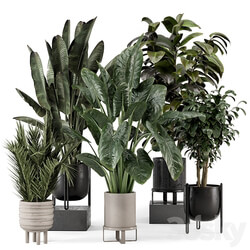 Indoor Plants in Ferm Living Bau Pot Large Set 1292 