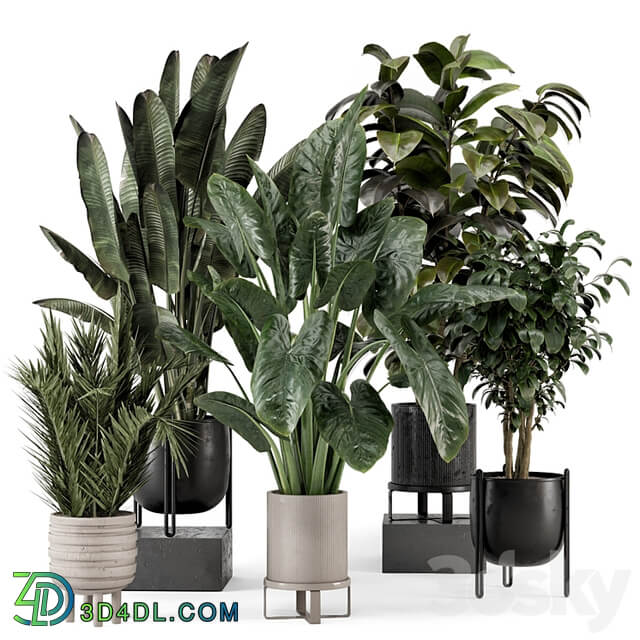 Indoor Plants in Ferm Living Bau Pot Large Set 1292