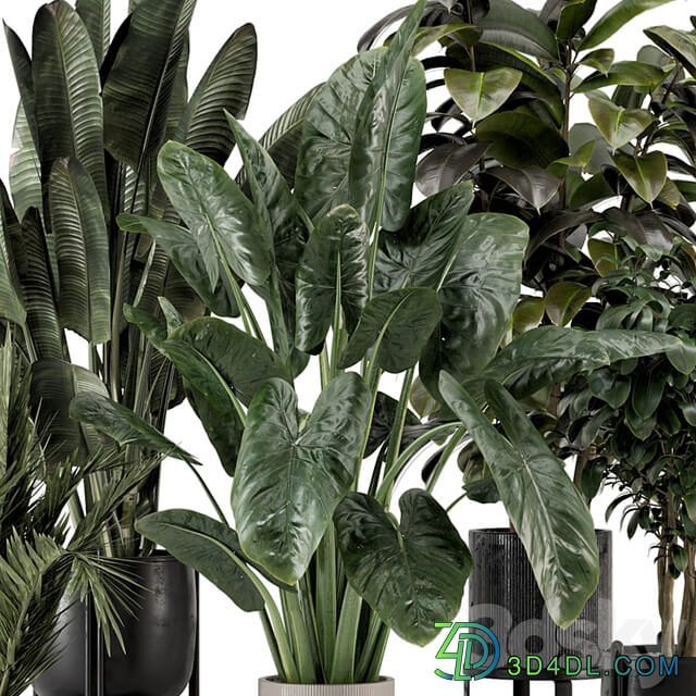 Indoor Plants in Ferm Living Bau Pot Large Set 1292
