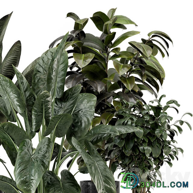 Indoor Plants in Ferm Living Bau Pot Large Set 1292