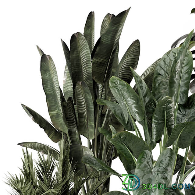 Indoor Plants in Ferm Living Bau Pot Large Set 1292