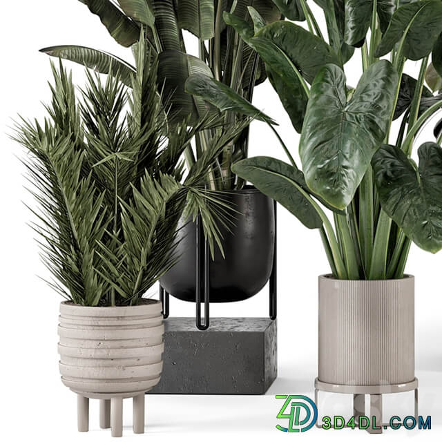 Indoor Plants in Ferm Living Bau Pot Large Set 1292