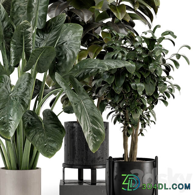 Indoor Plants in Ferm Living Bau Pot Large Set 1292