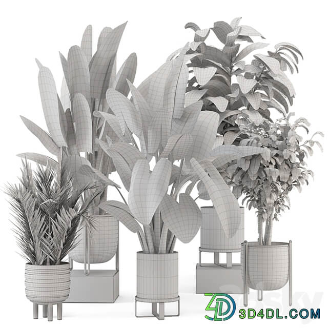 Indoor Plants in Ferm Living Bau Pot Large Set 1292