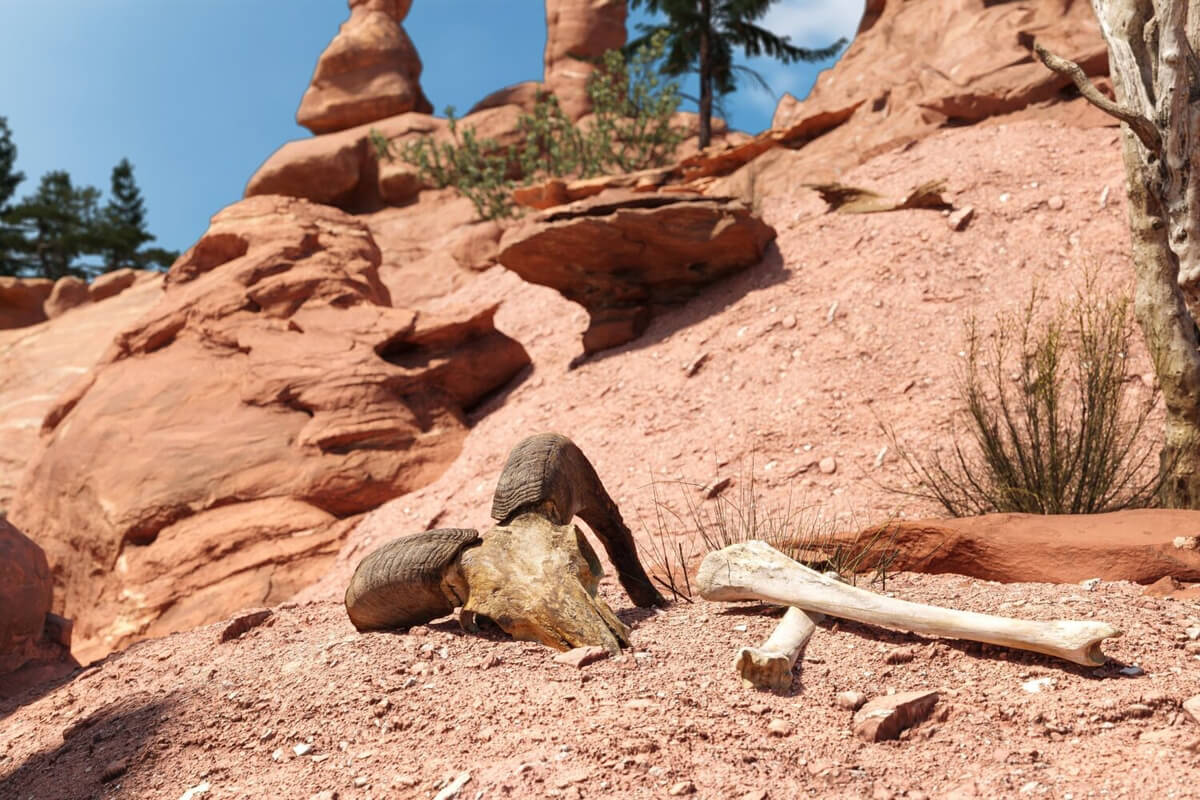  3D Canyon Scene By Ngoc Huy