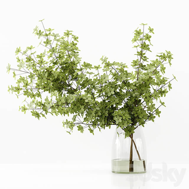Collection Indoor Plants 037