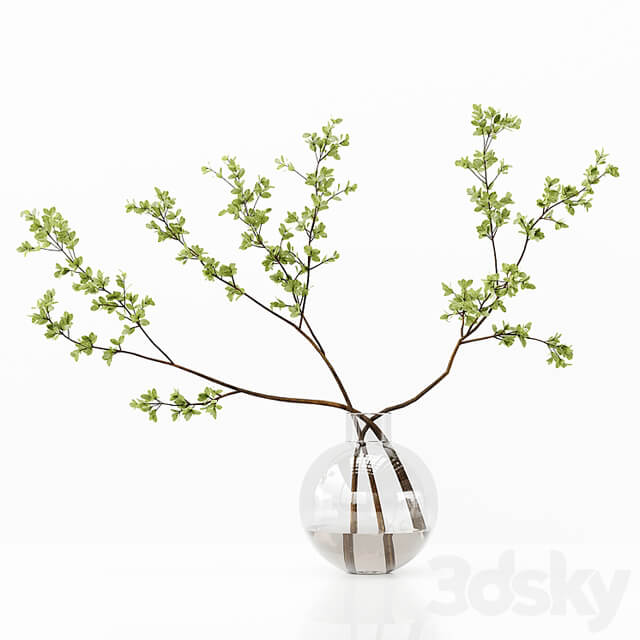 Collection Indoor Plants 037