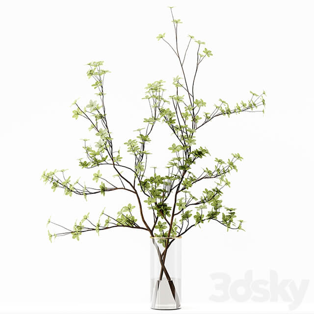 Collection Indoor Plants 037