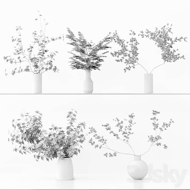 Collection Indoor Plants 037