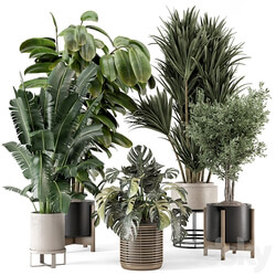 Indoor Plants in Ferm Living Bau Pot Large Set 1328 