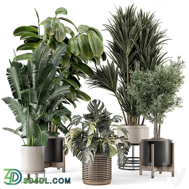 Indoor Plants in Ferm Living Bau Pot Large Set 1328