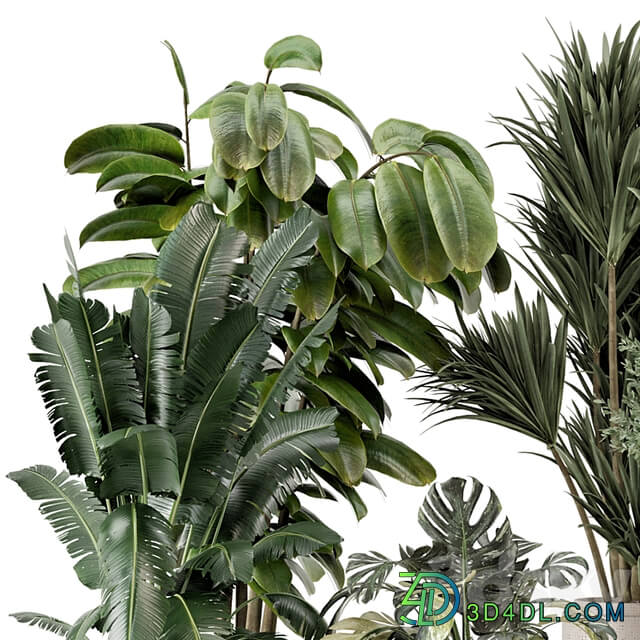 Indoor Plants in Ferm Living Bau Pot Large Set 1328