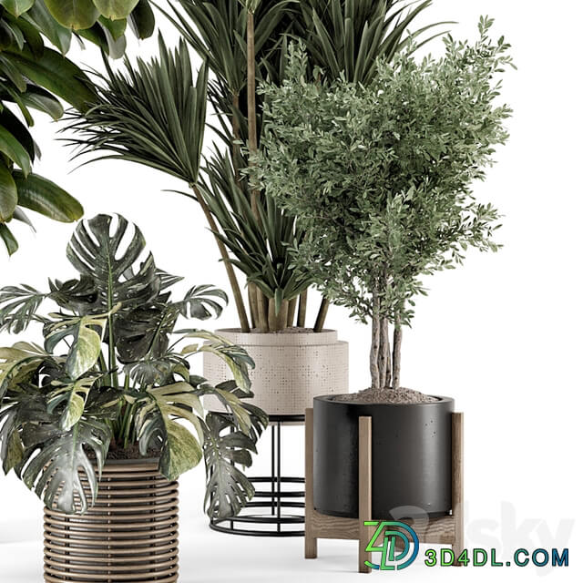 Indoor Plants in Ferm Living Bau Pot Large Set 1328