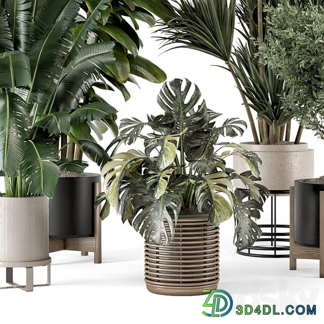 Indoor Plants in Ferm Living Bau Pot Large Set 1328