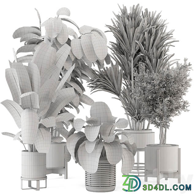 Indoor Plants in Ferm Living Bau Pot Large Set 1328