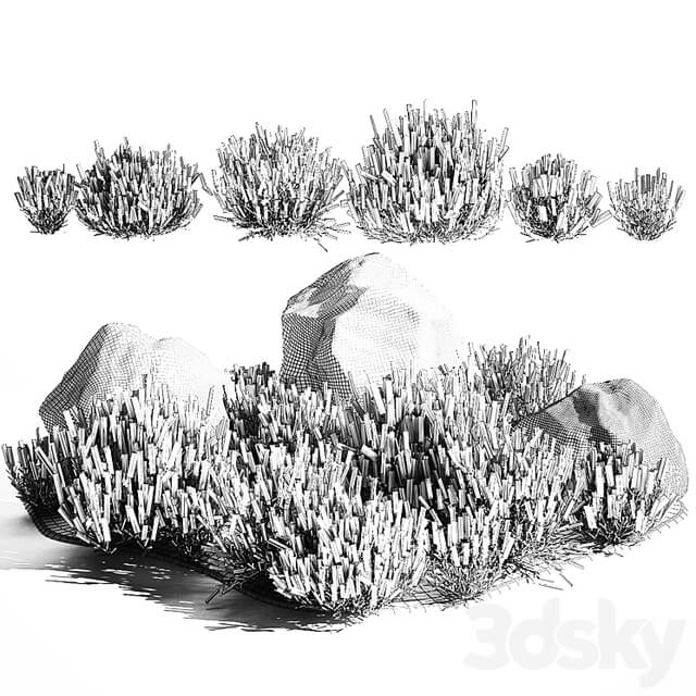 A set of lavender bushes for the garden and alpine slide, boulder, stone, catnip, sage, wild flowers. 1191
