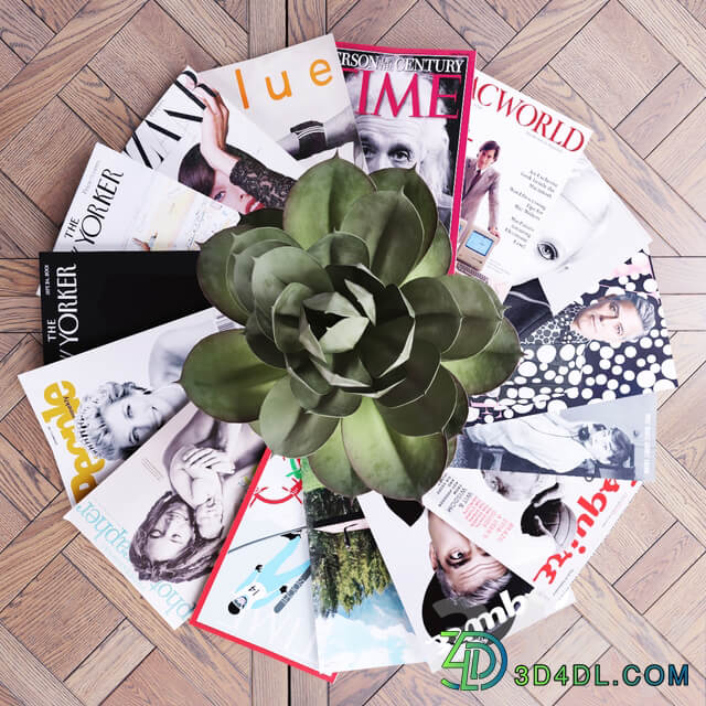 Succulent 3D Models