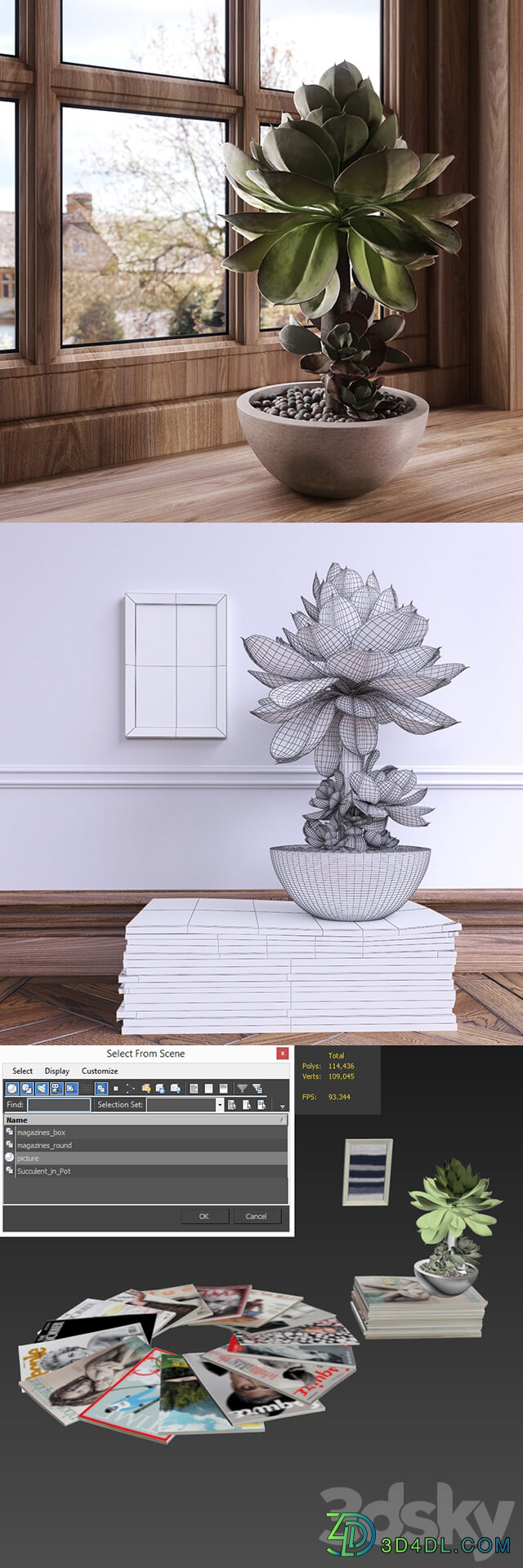 Succulent 3D Models