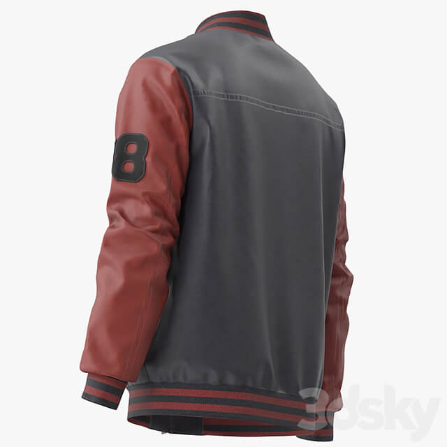 Men Embroidery Baseball Jackets