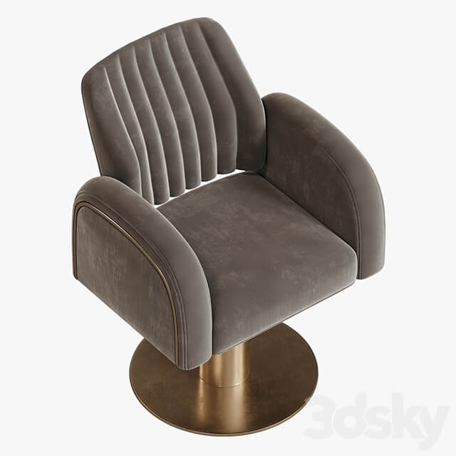 salon chair
