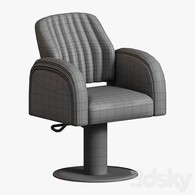 salon chair