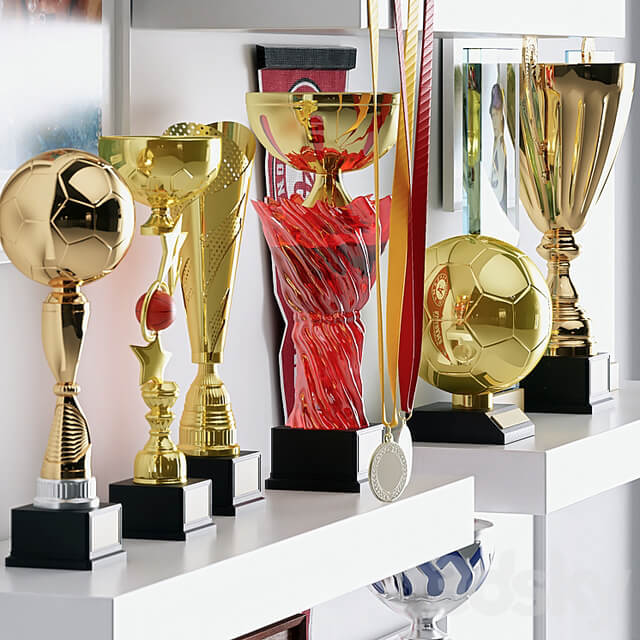 Children&#39;s sports awards