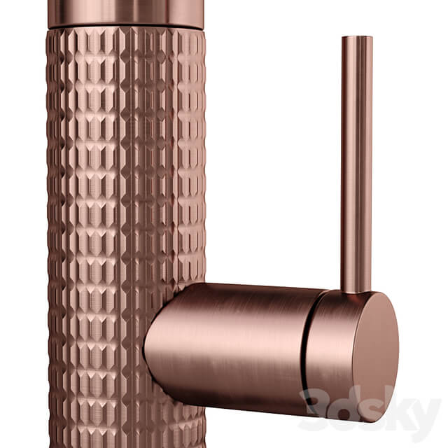 Kitchen faucet Foster Mixer Tap Skin