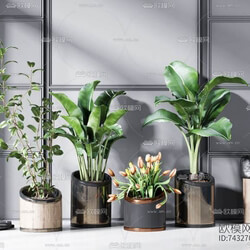 Indoor IhJVovRe 
