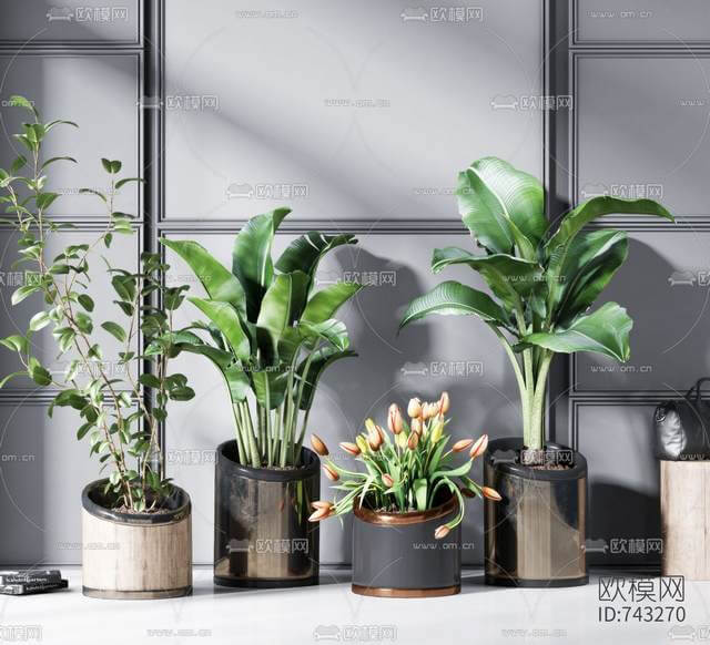 Indoor IhJVovRe