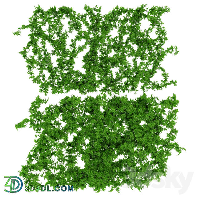 Wall of vine leaves 3D Models