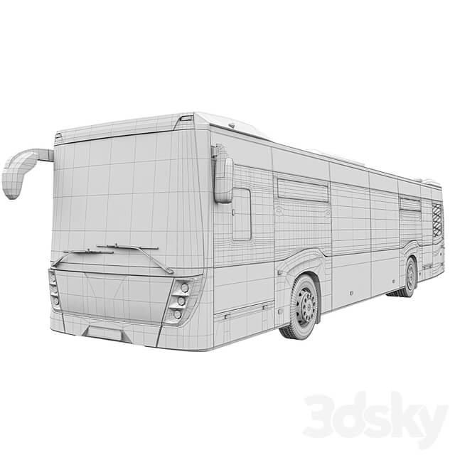 Bus Nefaz 5299 40 52 Moscow region