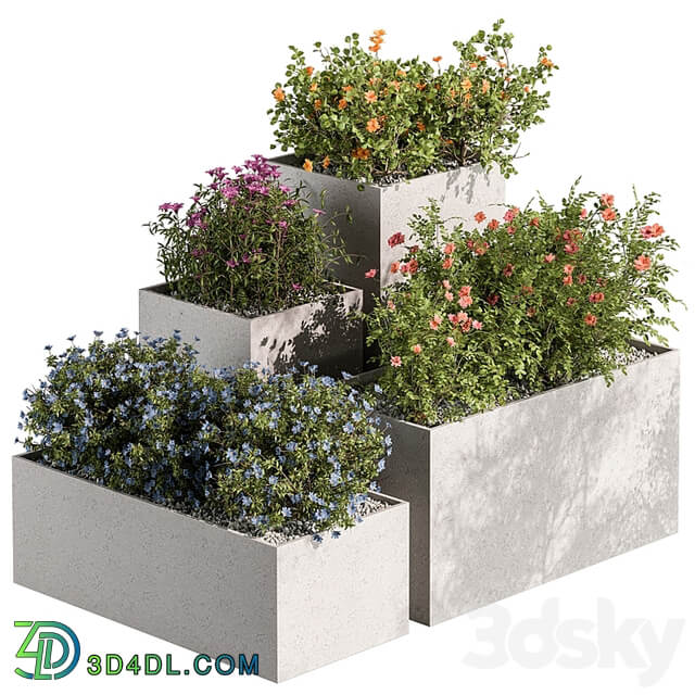 Plant Box Outdoor Plants Flowers 534