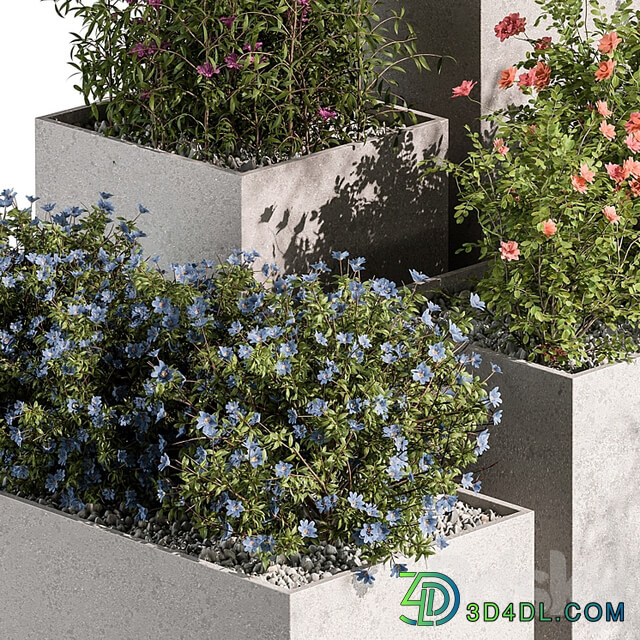 Plant Box Outdoor Plants Flowers 534