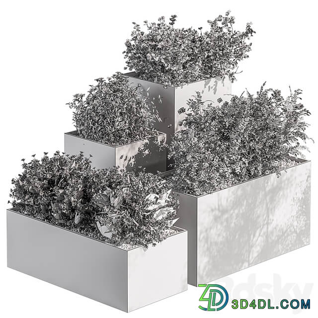 Plant Box Outdoor Plants Flowers 534