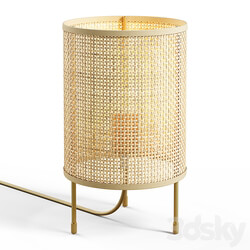 Zara Home Rattan Lamp 