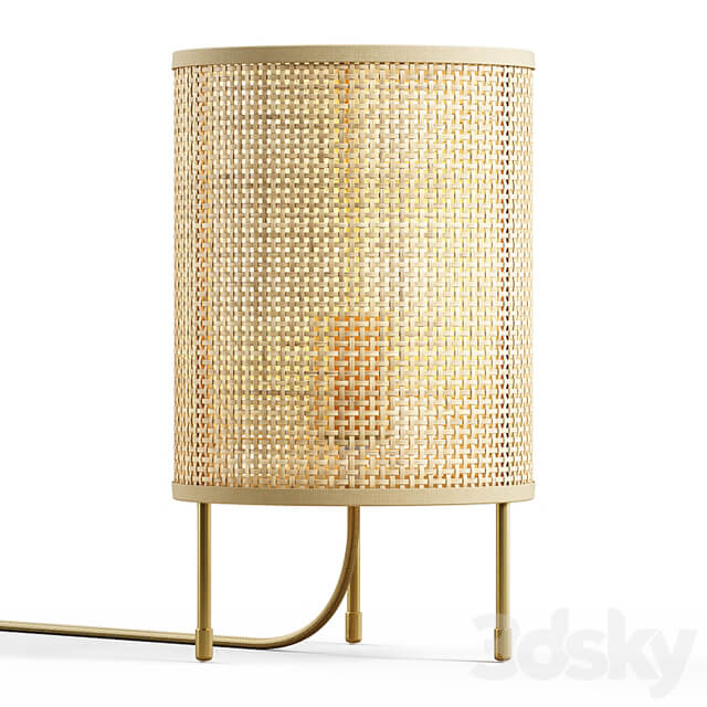 Zara Home Rattan Lamp