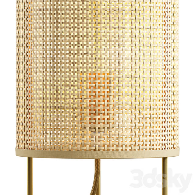 Zara Home Rattan Lamp