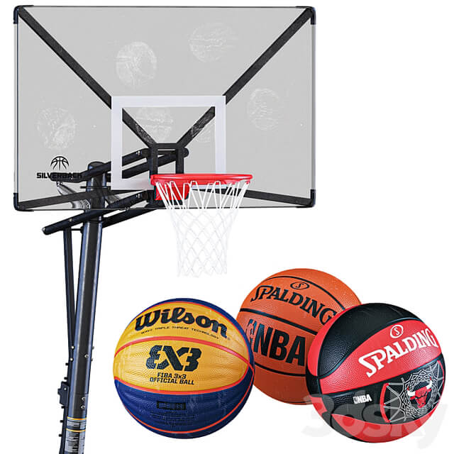 Portable Basketball Hoop Silverback