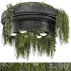 Indoor Hanging Plants in Metal Box Set 1506 