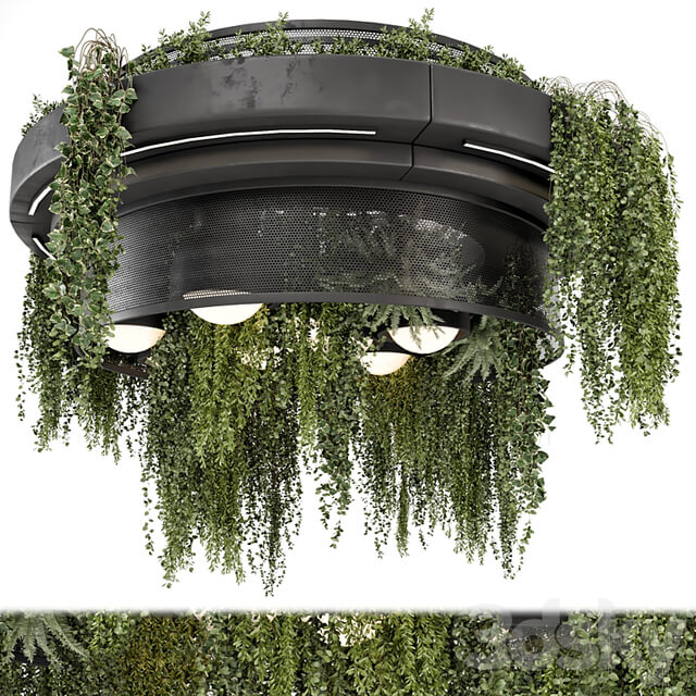 Indoor Hanging Plants in Metal Box Set 1506