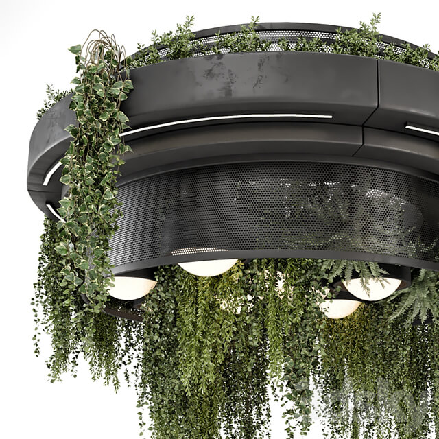 Indoor Hanging Plants in Metal Box Set 1506