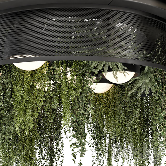 Indoor Hanging Plants in Metal Box Set 1506