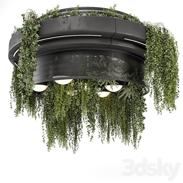 Indoor Hanging Plants in Metal Box Set 1506