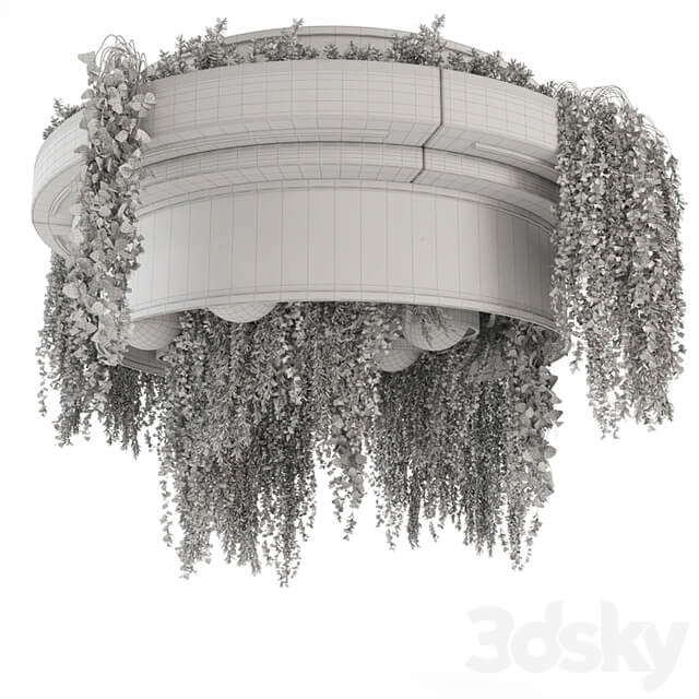 Indoor Hanging Plants in Metal Box Set 1506