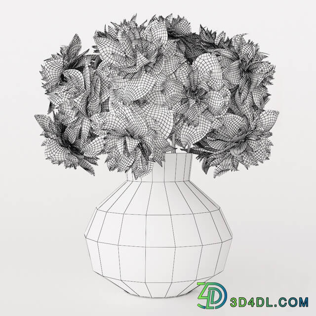 Dahlia 3D Models