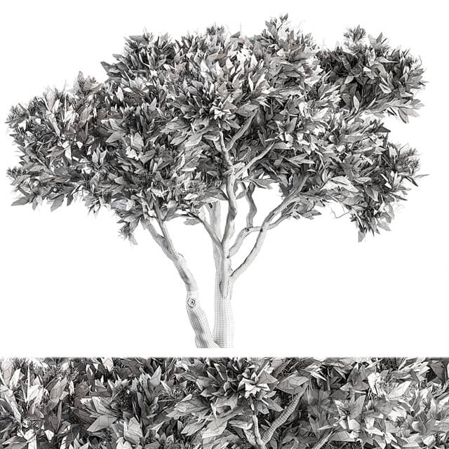 Stone Pine Tree Set 190