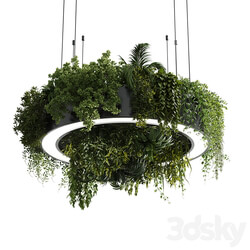 Circle pot light pendant plant light hanging 13 vray 