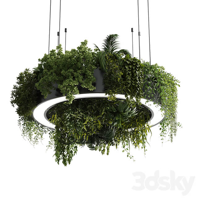 Circle pot light pendant plant light hanging 13 vray